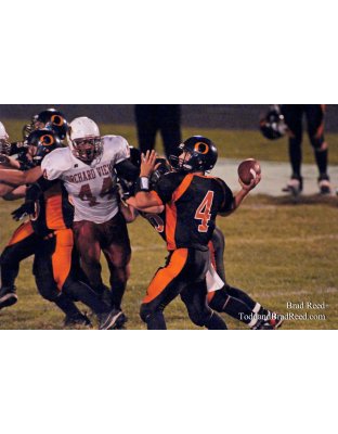 Brad Reed's Day 253 of 365 