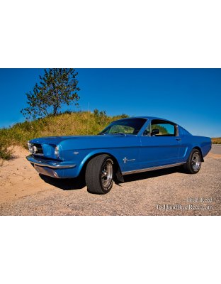 Brad Reed's Day 256 of 365 