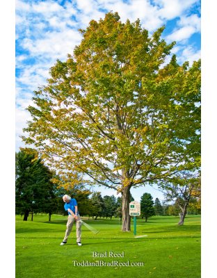 Brad Reed's Day 257 of 365 