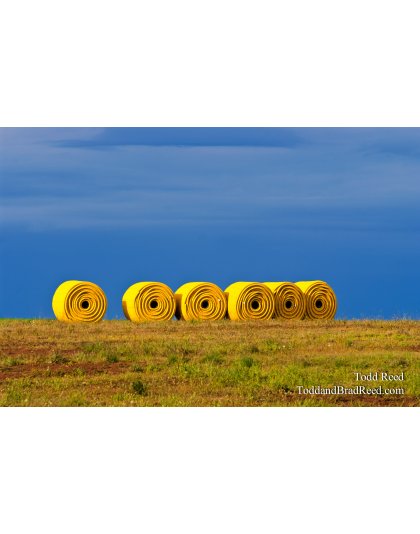 Todd Reed's Day 258 of 365 