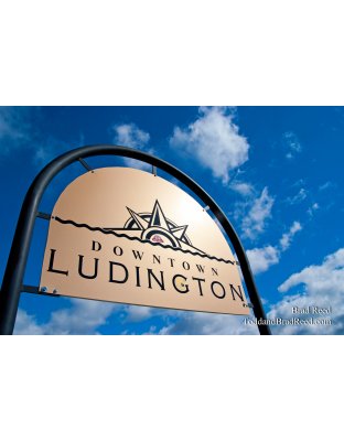 Brad Reed's Day 259 of 365 