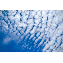 Brad Reed\'s Day 260 of 365 