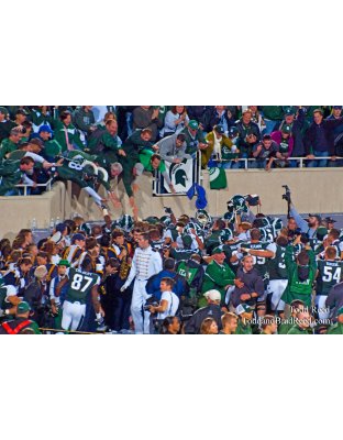 Todd Reed's Day 261 of 365 