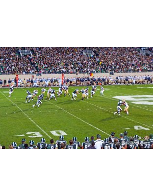 Brad Reed's Day 261 of 365 