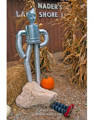 Brad Reed's Day 267 of 365 