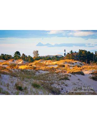 Brad Reed's Day 268 of 365 