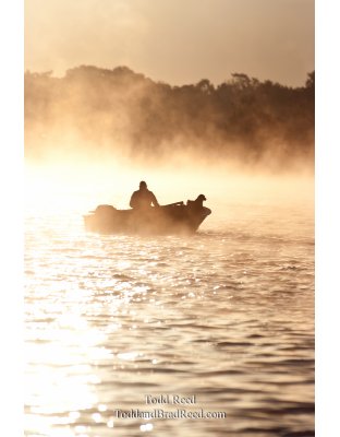 Todd Reed's Day 270 of 365 