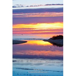 Brad Reed\'s Day 270 of 365 