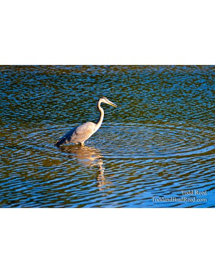 Todd Reed's Day 271 of 365 