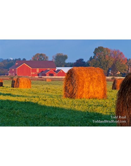 Todd Reed's Day 272 of 365 