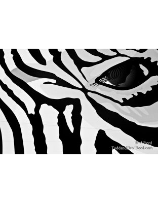 Brad Reed's Day 273 of 365 