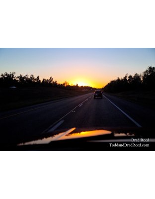 Brad Reed's Day 274 of 365 