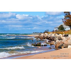 Todd Reed\'s Day 275 of 365 