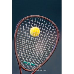 Brad Reed\'s Day 276 of 365 