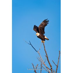 Todd Reed\'s Day 277 of 365 
