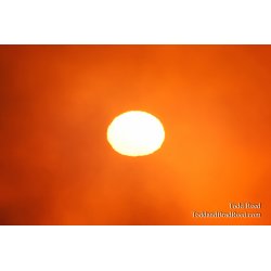 Todd Reed\'s Day 278 of 365 
