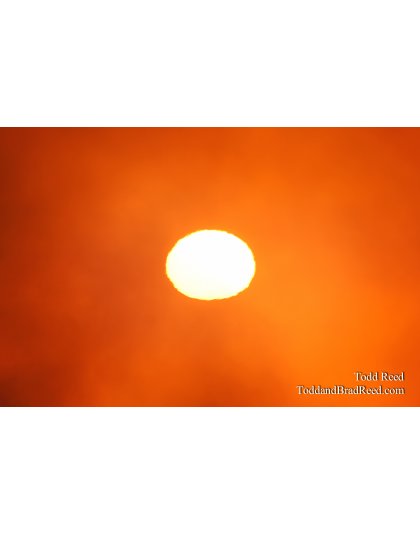 Todd Reed's Day 278 of 365 