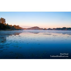 Brad Reed\'s Day 278 of 365 