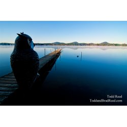 Todd Reed\'s Day 279 of 365 