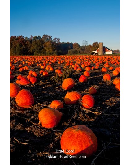 Brad Reed's Day 279 of 365 