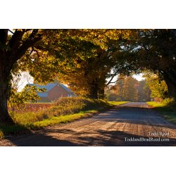 Todd Reed\'s Day 280 of 365 