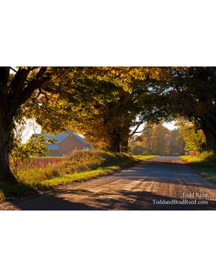 Todd Reed's Day 280 of 365 