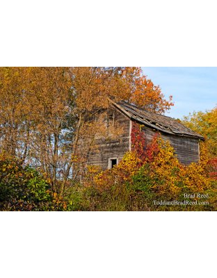 Brad Reed's Day 283 of 365 