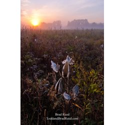 Brad Reed\'s Day 284 of 365 