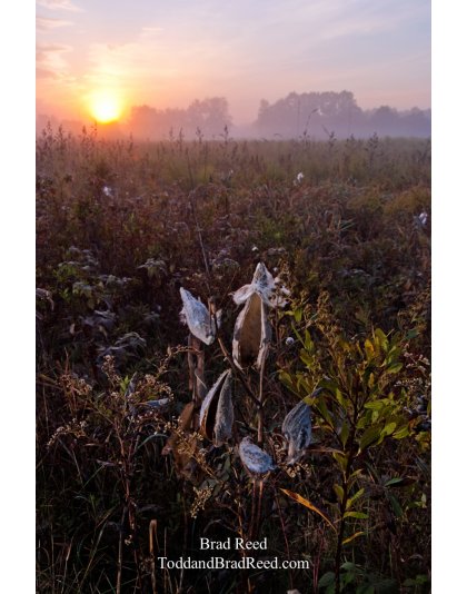 Brad Reed's Day 284 of 365 