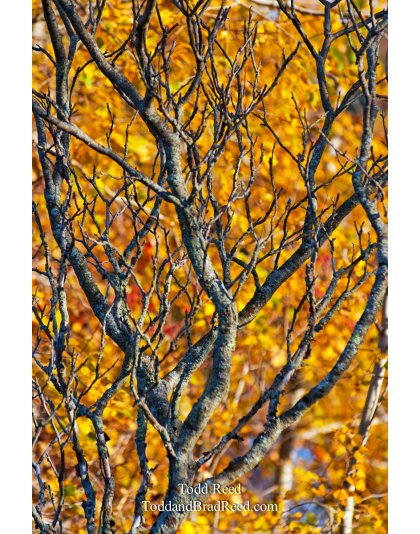 Todd Reed's Day 286 of 365 