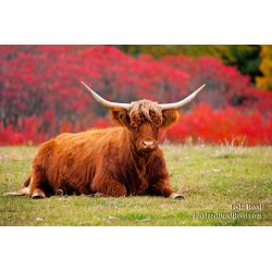 Todd Reed\'s Day 287 of 365 