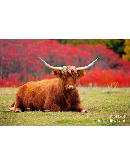 Todd Reed's Day 287 of 365 