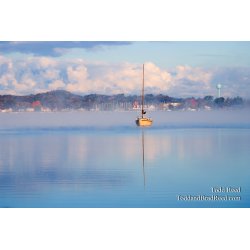 Todd Reed\'s Day 288 of 365 