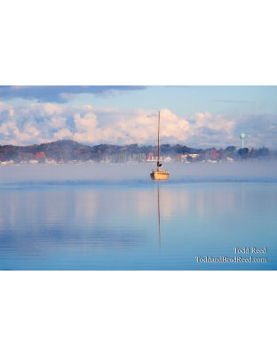 Todd Reed's Day 288 of 365 