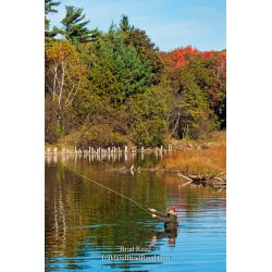 Brad Reed\'s Day 289 of 365 
