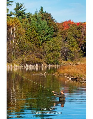 Brad Reed's Day 289 of 365 