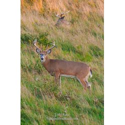 Todd Reed\'s Day 291 of 365 