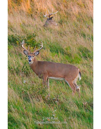 Todd Reed's Day 291 of 365 