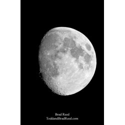 Brad Reed\'s Day 291 of 365 