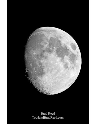 Brad Reed's Day 291 of 365 