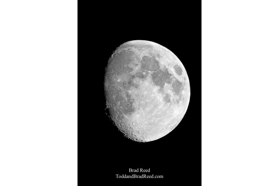 Brad Reed's Day 291 of 365 