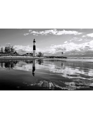 Brad Reed's Day 294 of 365 