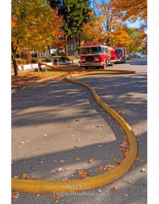 Brad Reed's Day 295 of 365 