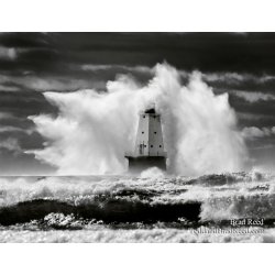 Brad Reed\'s Day 299 of 365 