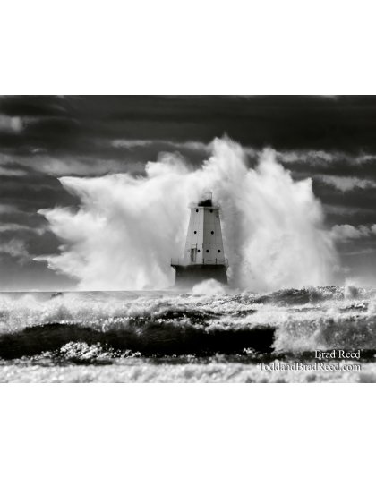 Brad Reed's Day 299 of 365 