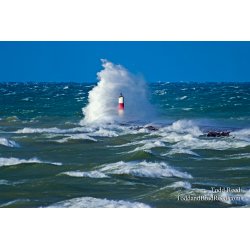 Todd Reed\'s Day 300 of 365 