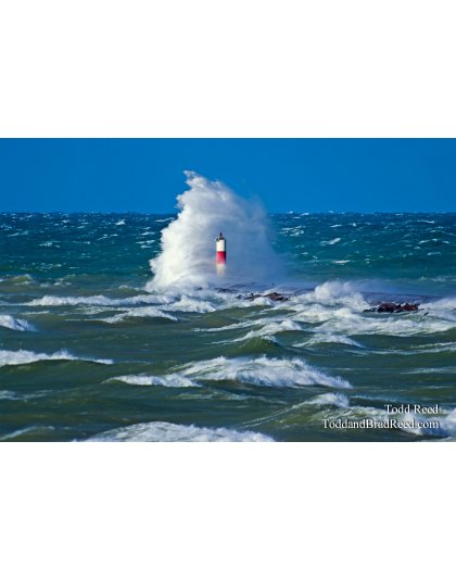 Todd Reed's Day 300 of 365 