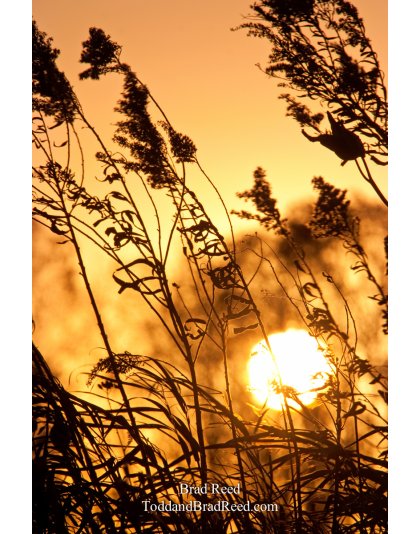 Brad Reed's Day 300 of 365 