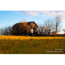 Brad Reed\'s Day 302 of 365 