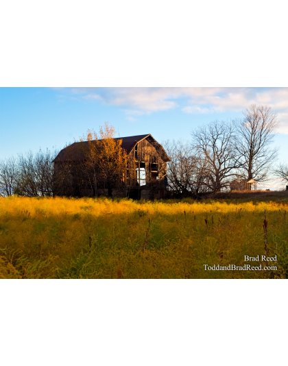 Brad Reed's Day 302 of 365 